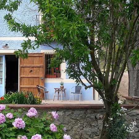 La Casanova De Beuda Villa Kamer foto